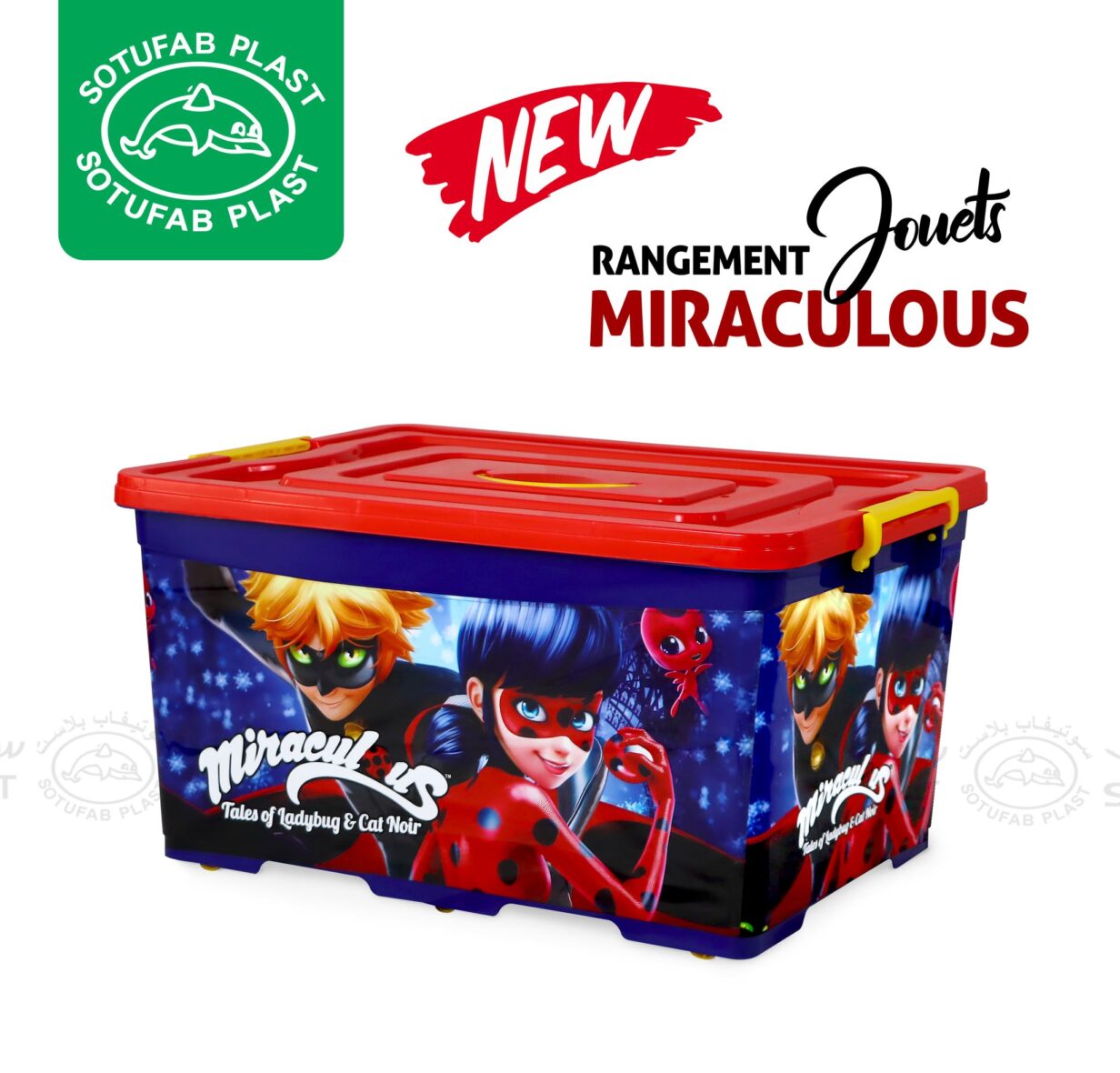 474975561_3835798459968273_3257332753114787604_n