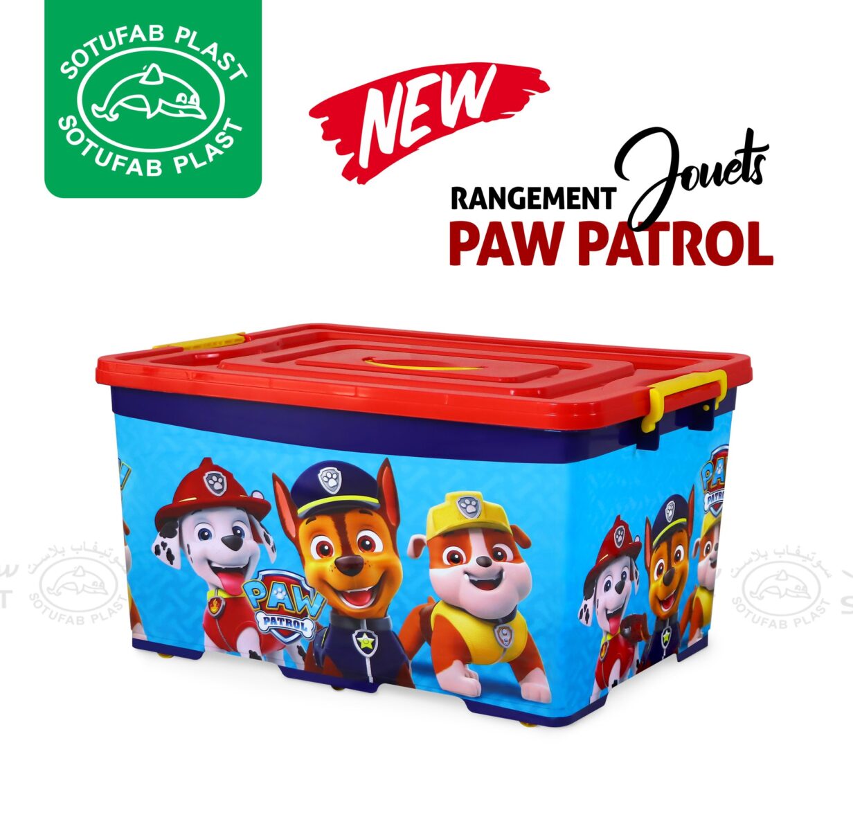 474975697_3835798099968309_2673187081712244054_n