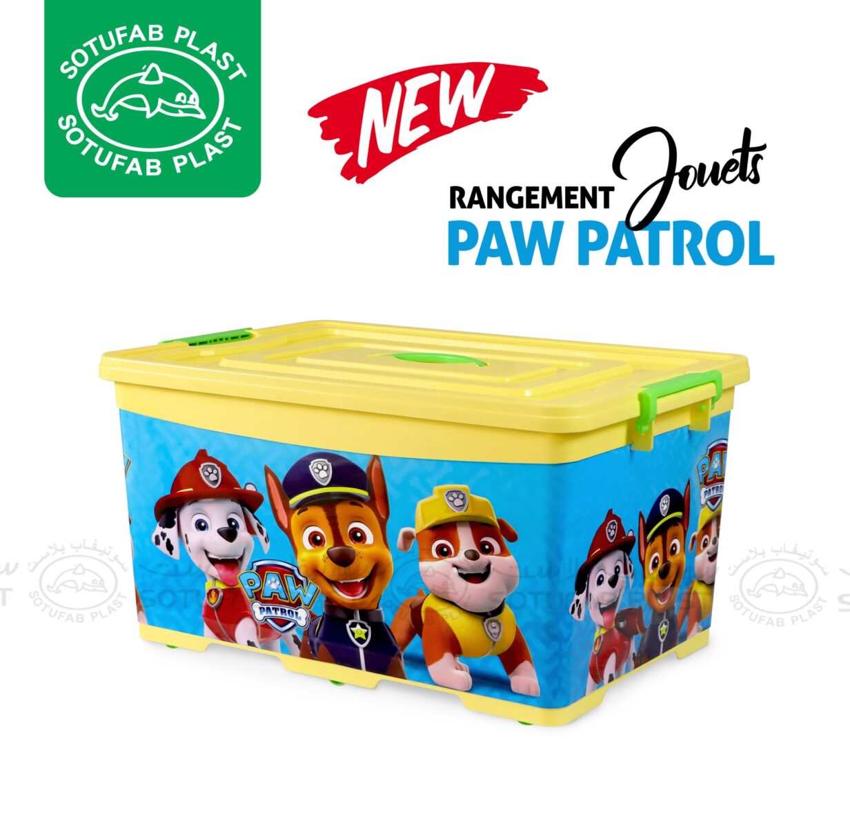 475262258_3835798416634944_1998893096546182397_n