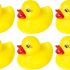 lot de 6 canards