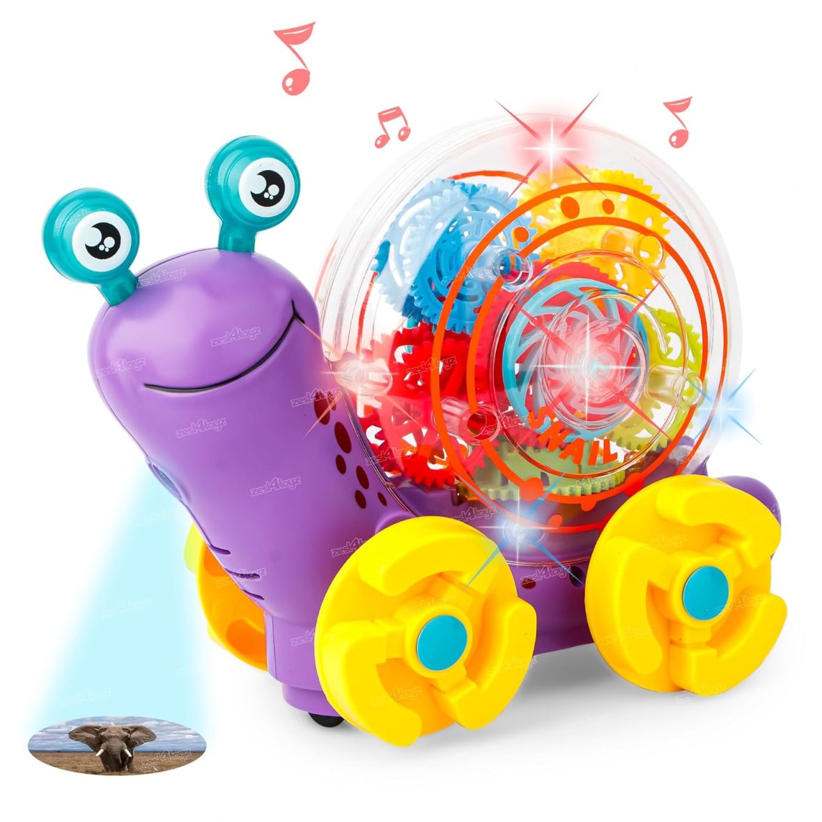 Snail musical