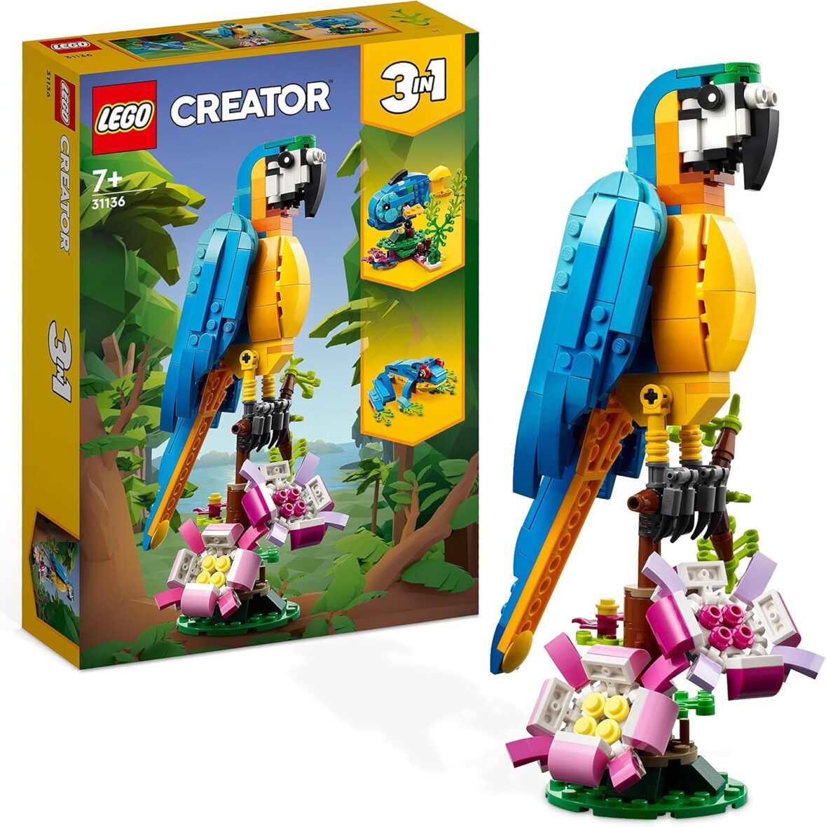 Le Perroquet Exotique