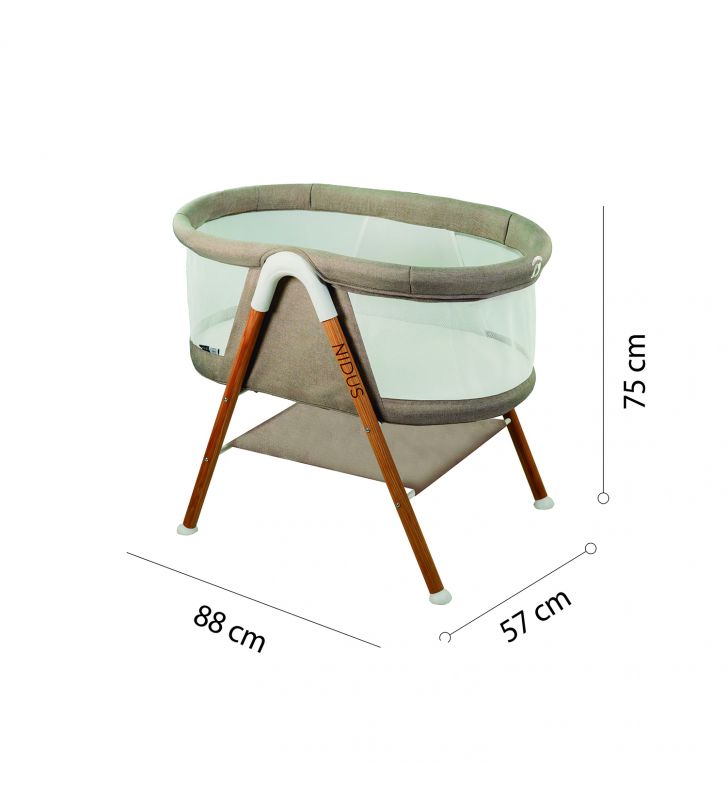 l-espece-nidus-beige (3)