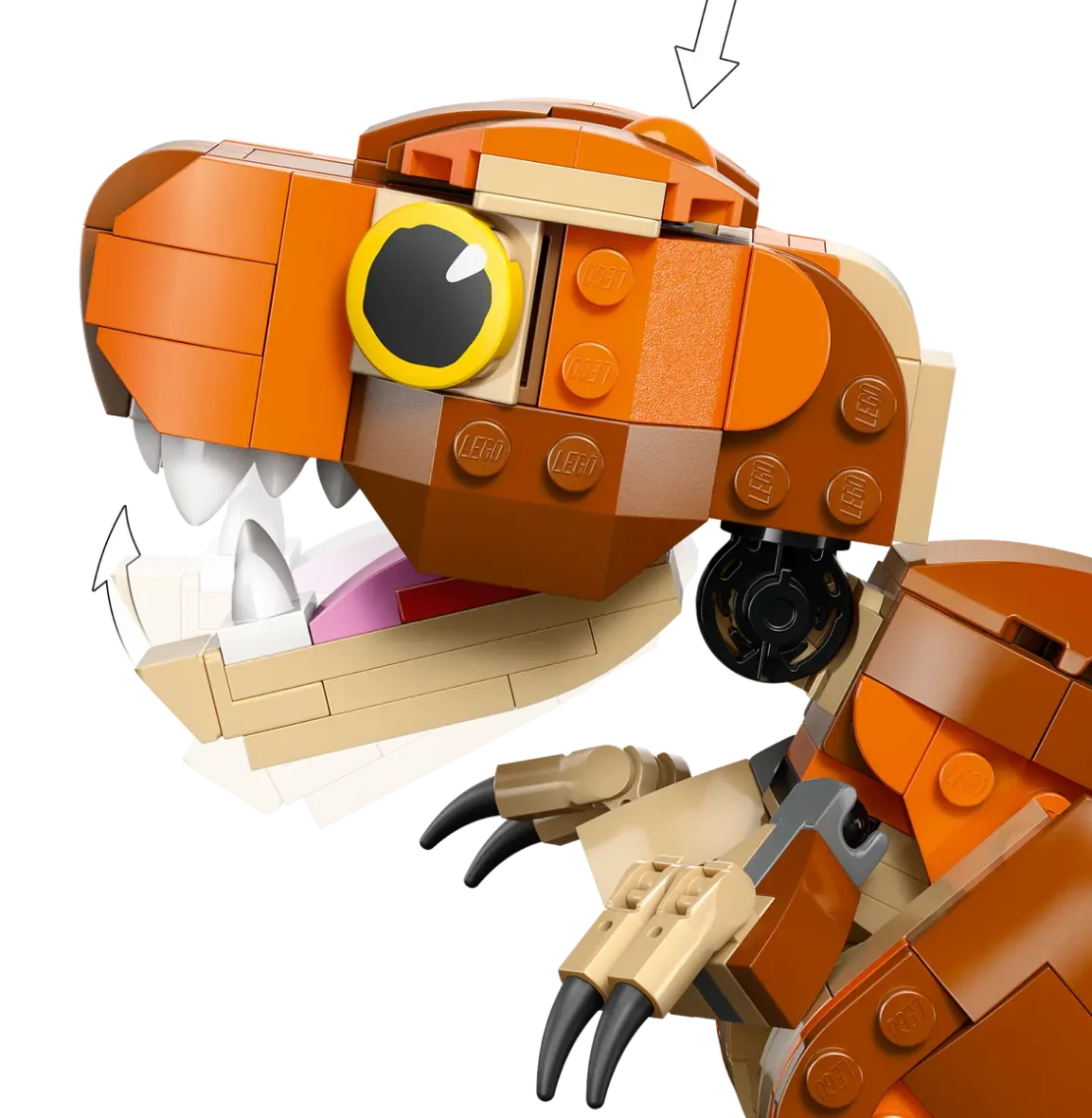 76967_WEB_SEC03_NOBG