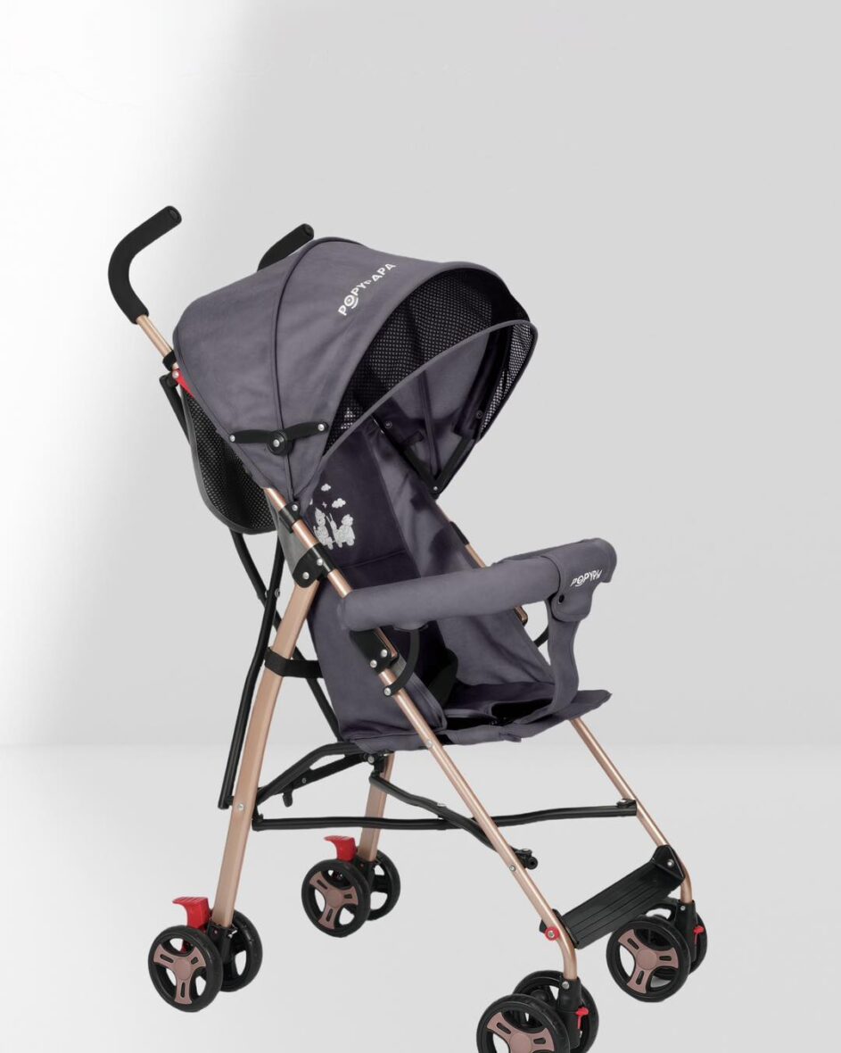 534133724_1170455335125211_7594547118238647966_n