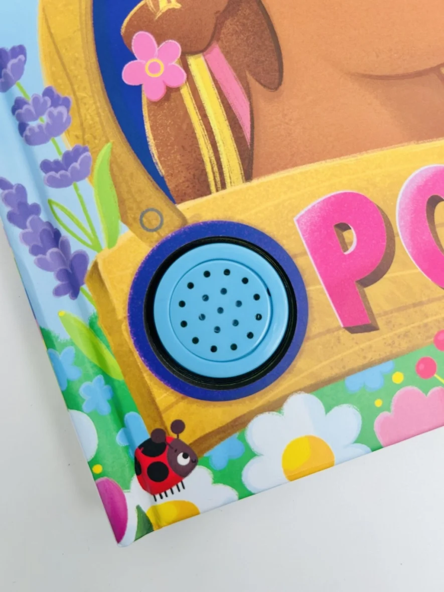 2HKCBUPa675001e07d30b_1733296608