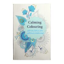 Capture d’écran 2026-02-10 123242