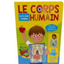 Capture d’écran 2026-02-11 105625