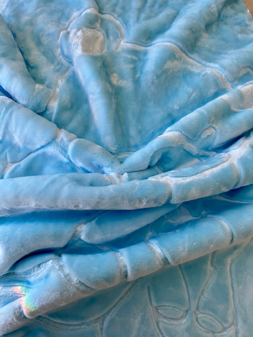 WhatsApp Image 2026-02-06 at 15.48.15