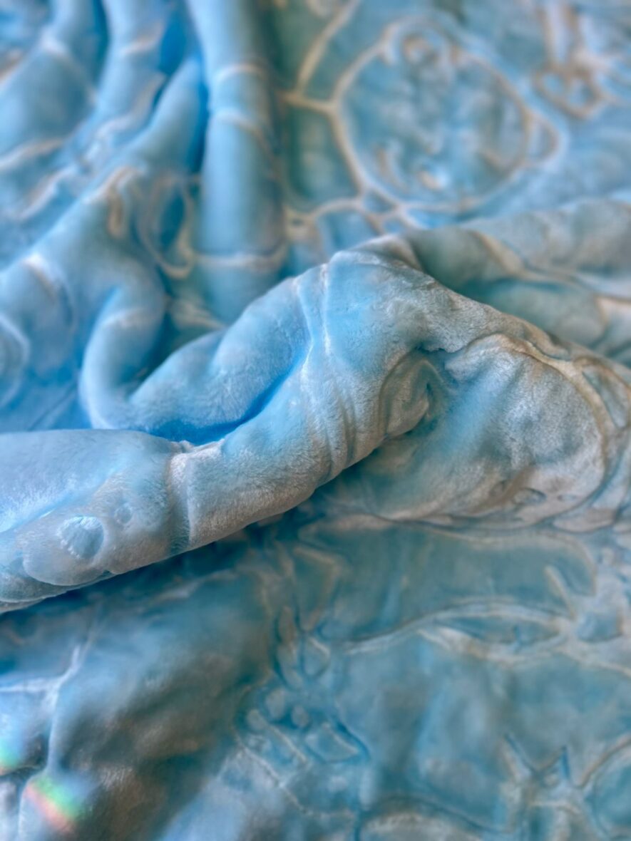 WhatsApp Image 2026-02-06 at 15.48.16 (1)