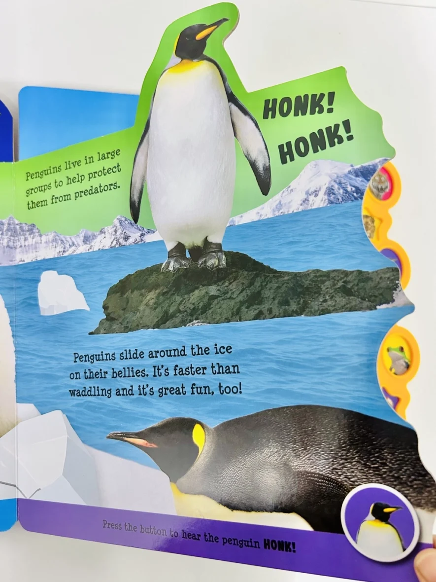 Ypep60Ip659e3f29d5394_1704869674