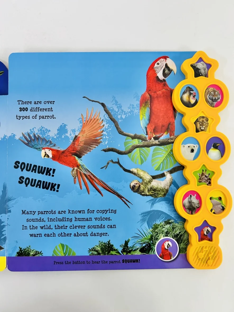 kLzHbMLi659e3f2803854_1704869672